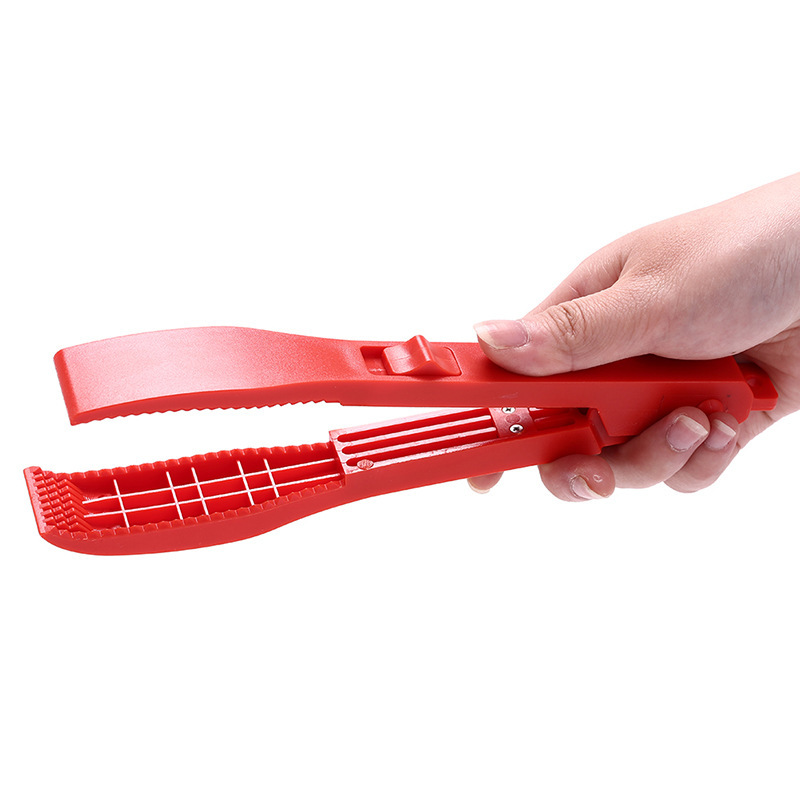 Color Random Multifunctional F - огляд і ціна Fishing Hook Remover